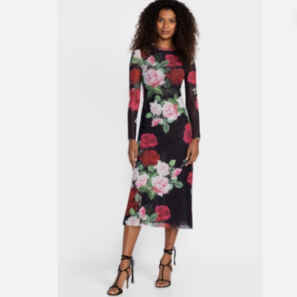 Jade Johnny Was Lolia Rose Print Mesh Midi Dress Nwt XS - Picture 1 of 9
